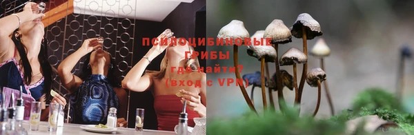 соль ск Наволоки