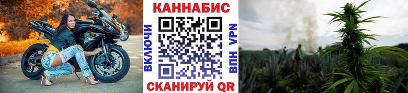 Марихуана сатива купить Почеп